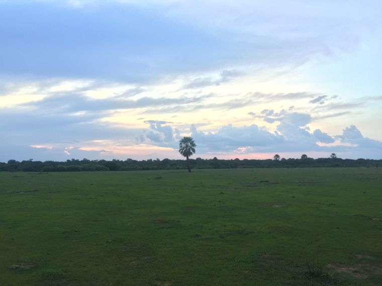 Vida na Fazenda Campinas, Campo Maior (PI)