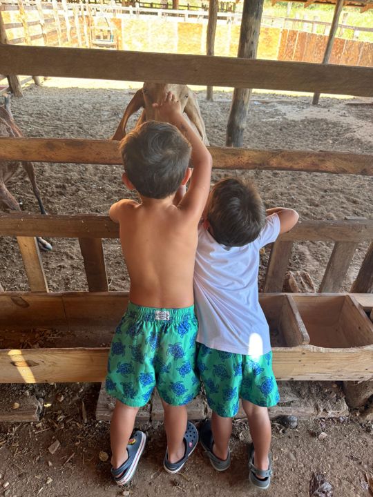 Crianças fazendo carinho em uma cabra no curral da Fazenda Campinas